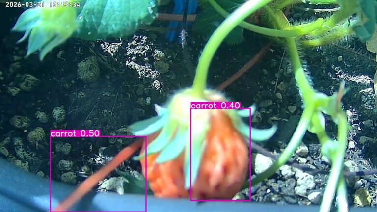 user10_20260321_121343_c7fb3a_pred