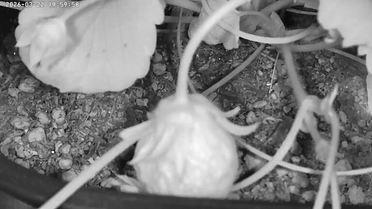 user10_20260322_200006_5a9b03_pred