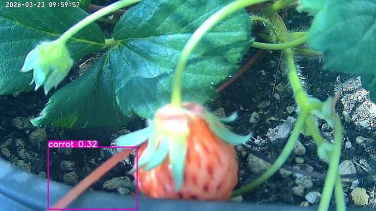 user10_20260323_100006_ac3cfd_pred