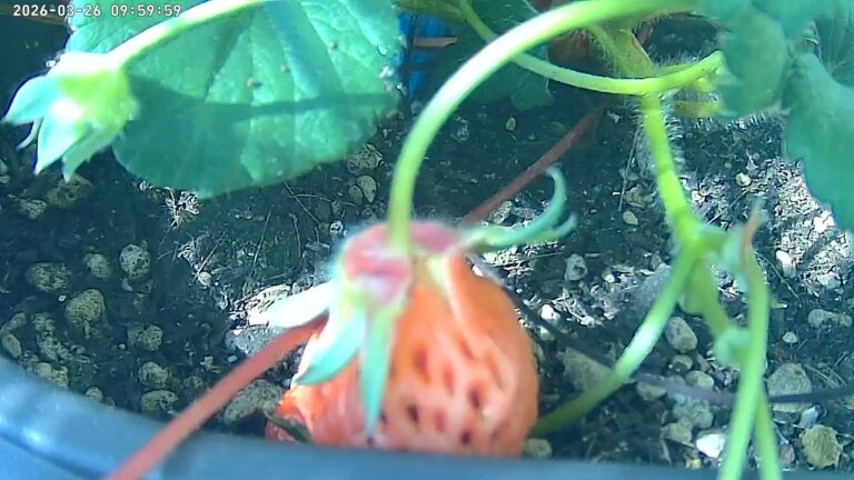 user10_20260326_100005_64f8a2_pred