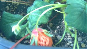 user10_20260328_100006_7a0125_pred