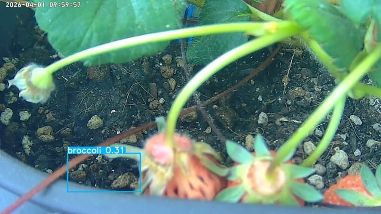 user10_20260401_100006_515039_pred