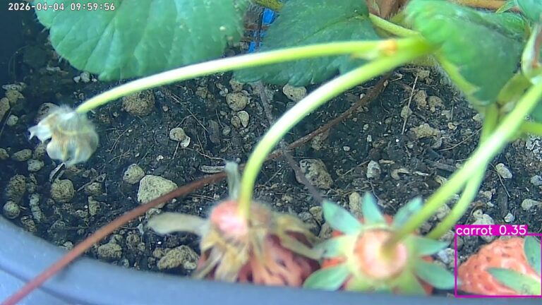 user10_20260404_100006_2960dc_pred