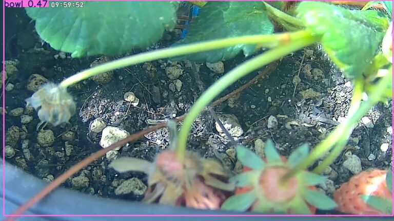 user10_20260405_100006_14de59_pred