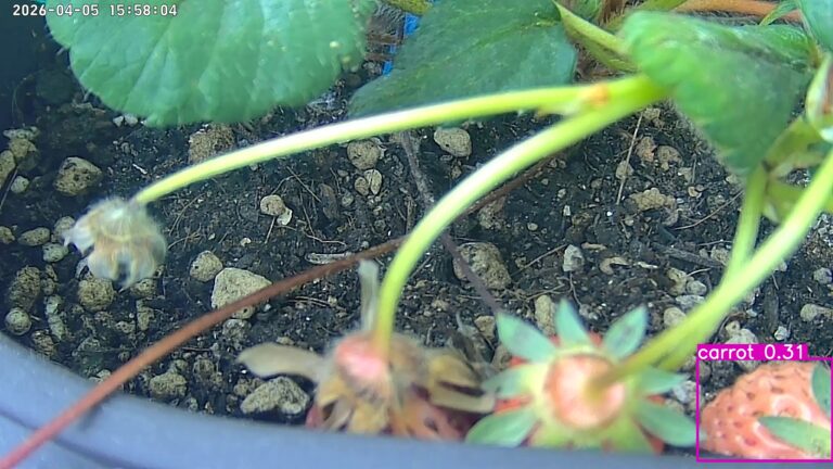 user10_20260405_155815_925b58_pred