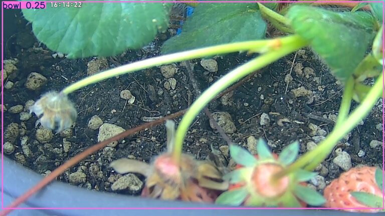 user10_20260405_161435_ad6474_pred