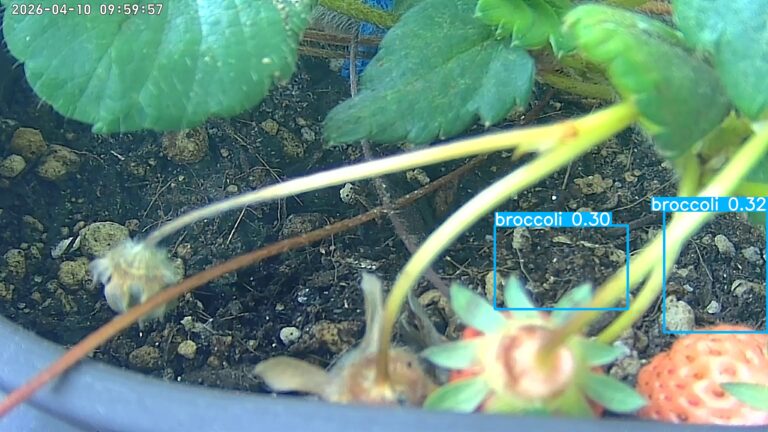 user10_20260410_100005_6e982b_pred