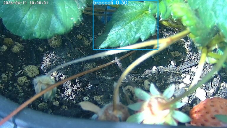 user10_20260411_100006_91f6c9_pred