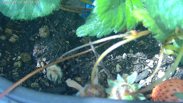 user10_20260412_100005_6d335f_pred