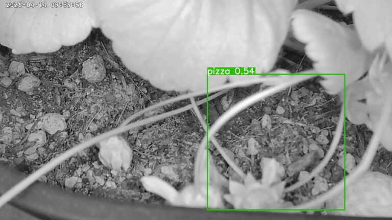 user10_20260414_100006_c44fca_pred