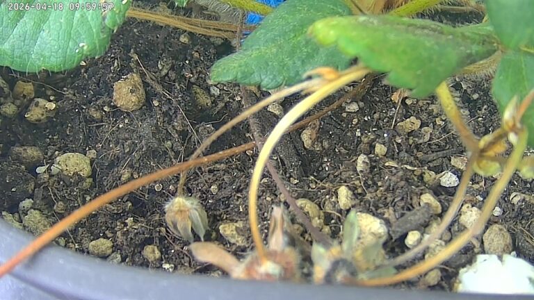 user10_20260418_100006_d3f01f_pred