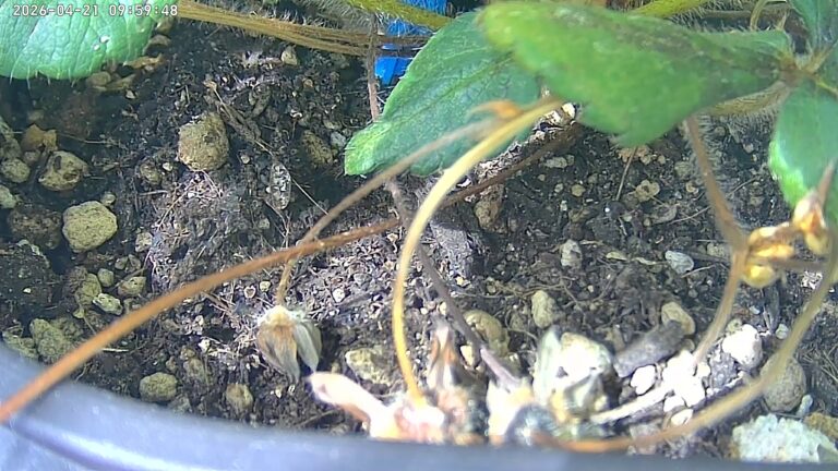 user10_20260421_100005_b79cff_pred