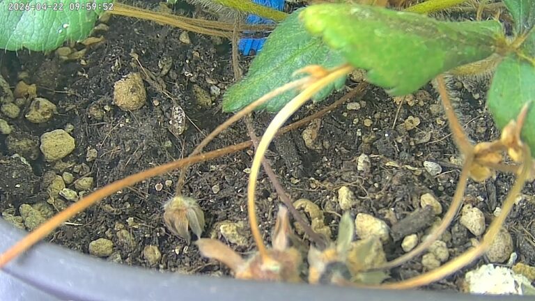 user10_20260422_100006_d9c23b_pred