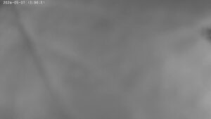 user10_20260507_100006_0e3515_pred
