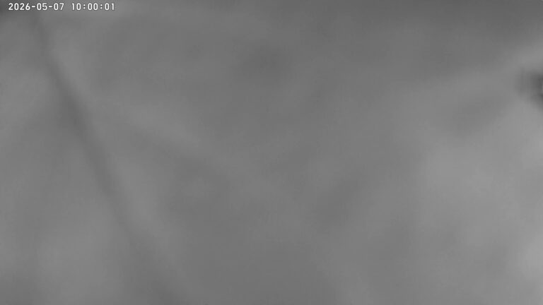 user10_20260507_100006_0e3515_pred