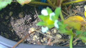 user10_20260512_100006_18108d_pred