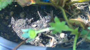 user10_20260514_100005_3148b1_pred