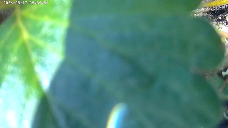user10_20260517_100006_18bffd_pred