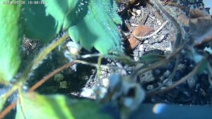 user10_20260530_100006_160e87_pred