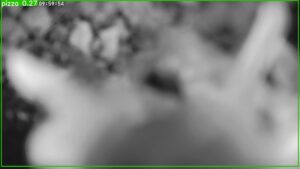 user10_20260608_100006_c10e85_pred