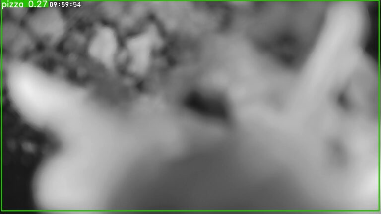user10_20260608_100006_c10e85_pred
