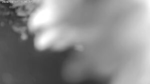user10_20260612_100007_6923d7_pred