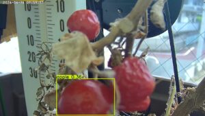 user10_20260616_100006_c2b6cc_pred