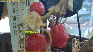 user10_20260622_100007_a0db7b_pred