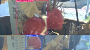 user10_20260629_100006_0d3865_pred