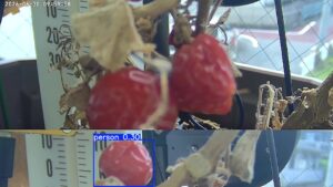 user10_20260630_100006_f59f6a_pred