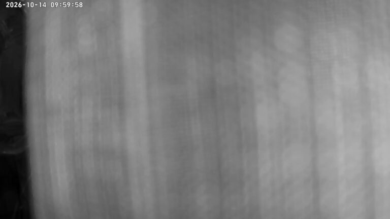 user10_20261014_100007_1cfca7_pred