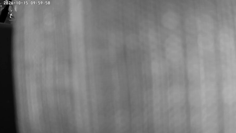 user10_20261015_100006_038cdf_pred