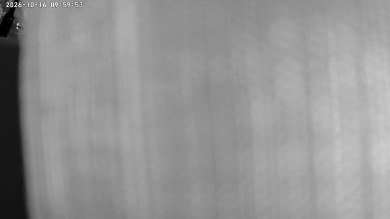 user10_20261016_100006_774391_pred