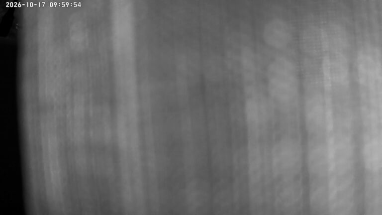 user10_20261017_100006_2695e9_pred