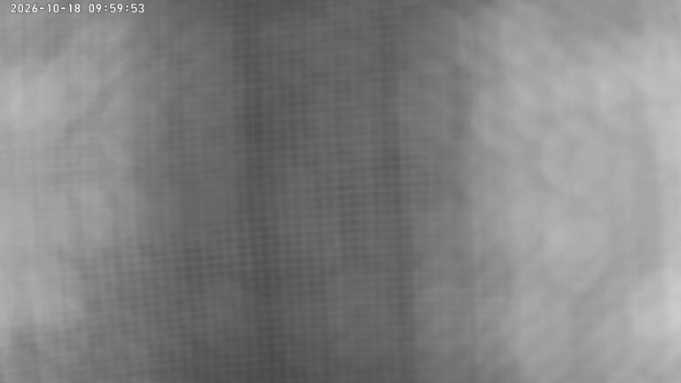 user10_20261018_100006_856754_pred