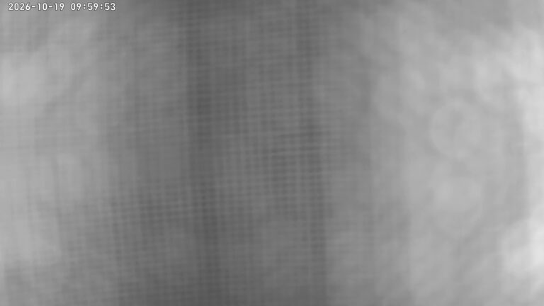 user10_20261019_100008_129903_pred