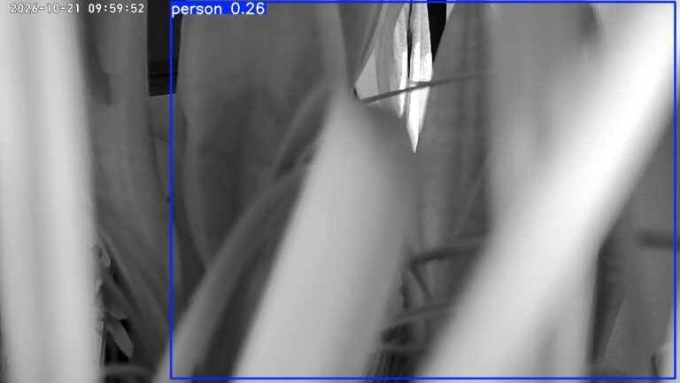 user10_20261021_100007_6929ef_pred