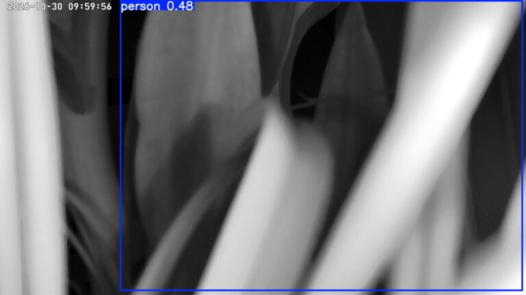 user10_20261030_100006_c6ab73_pred