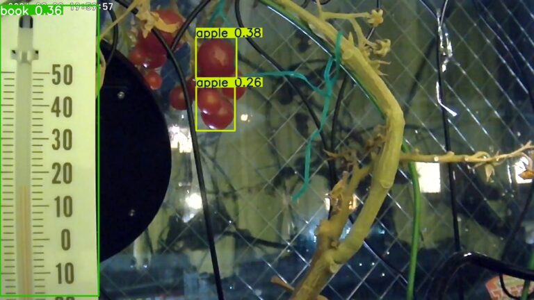 user11_20260322_200006_cf808f_pred