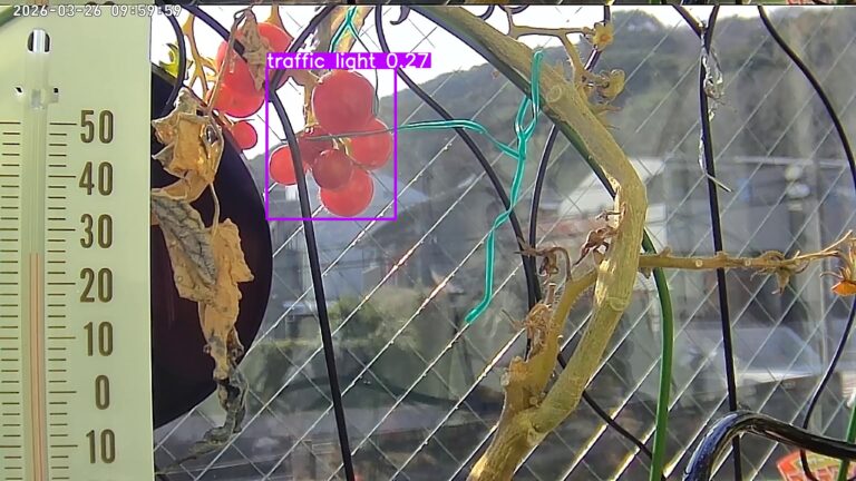 user11_20260326_100006_d06a8d_pred