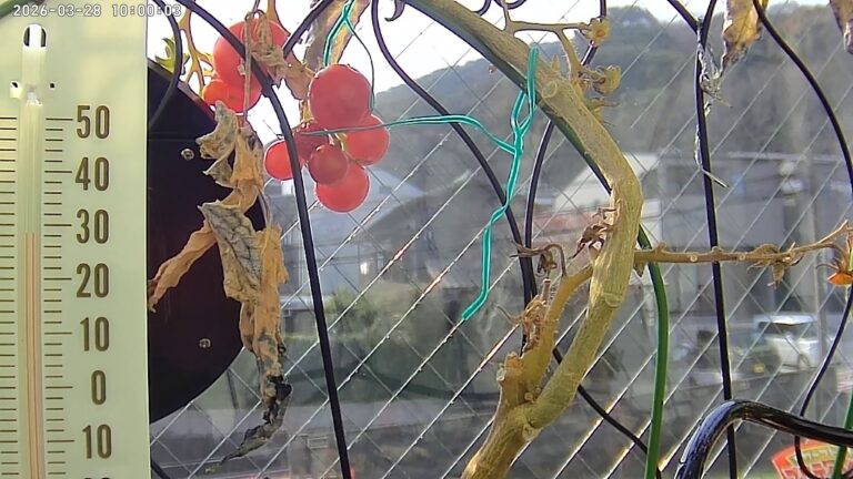 user11_20260328_100006_3f2dc8_pred