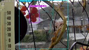 user11_20260330_100006_d410f2_pred