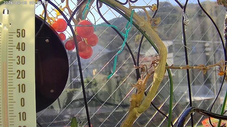 user11_20260403_100006_e85b84_pred