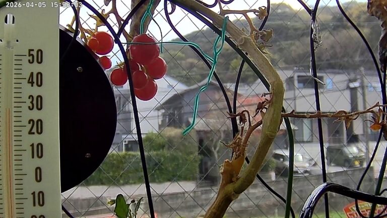 user11_20260405_155815_404a98_pred