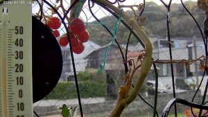 user11_20260405_160436_35addc_pred