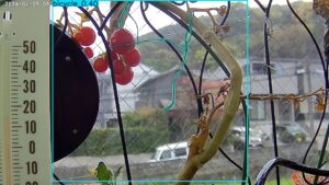 user11_20260409_100005_50c5ba_pred