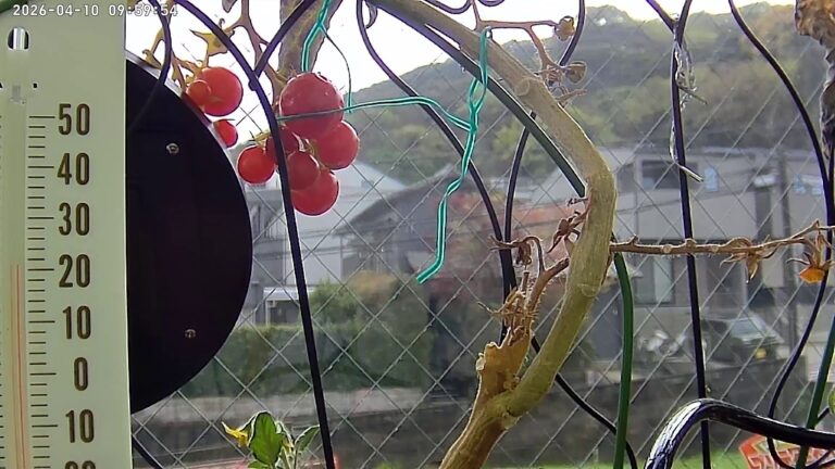 user11_20260410_100006_3042ab_pred