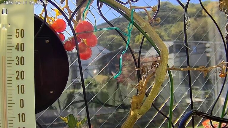 user11_20260411_100006_faf589_pred