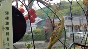 user11_20260418_100006_a2cf17_pred