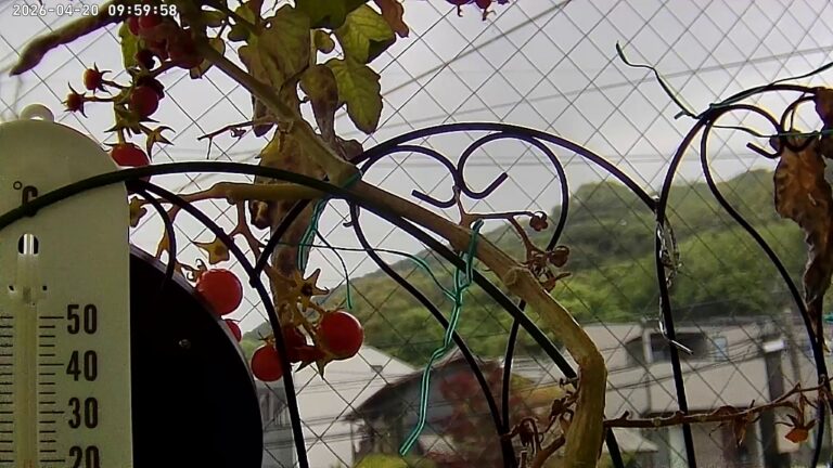 user11_20260420_100005_4d47e1_pred